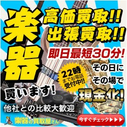 �y��̔��扮����